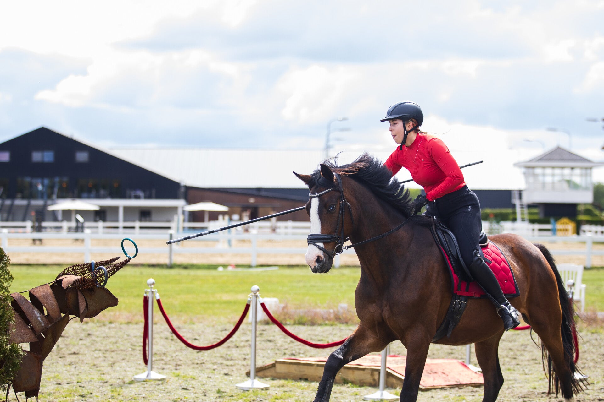 Working Equitation Style & Smile