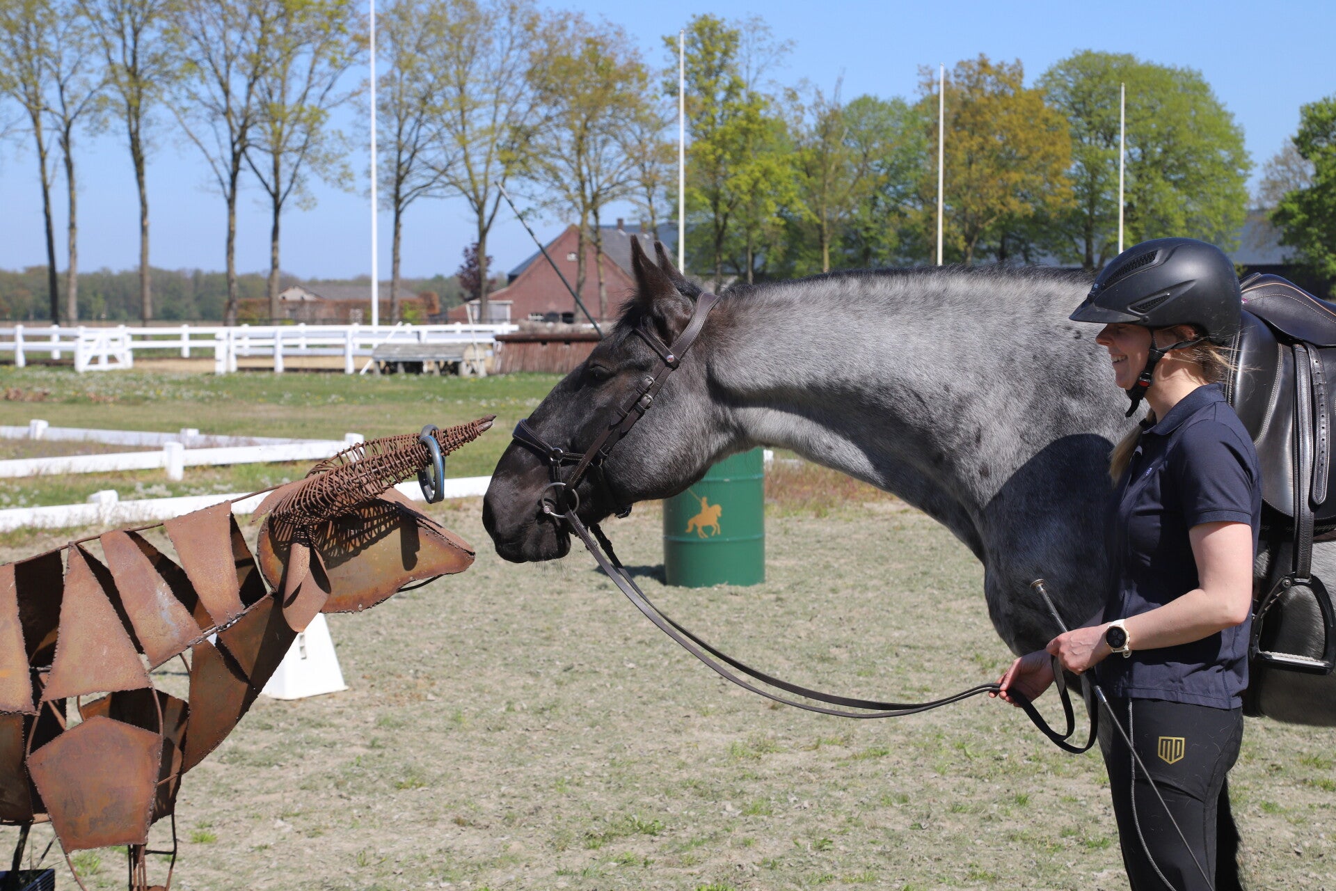 Working Equitation Lessen | Juni & Juli