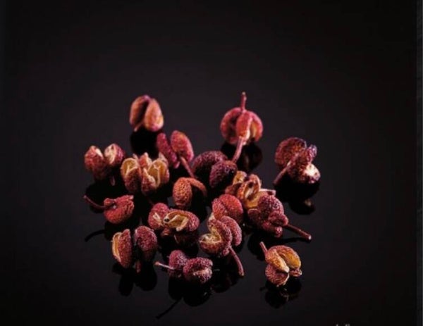 Baies de sansho rouge entières de Wakayama