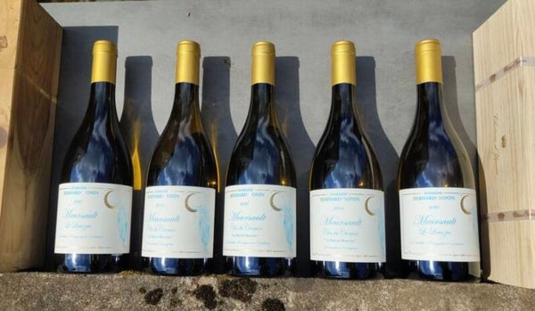 Meursault domaine Bernard Bonin