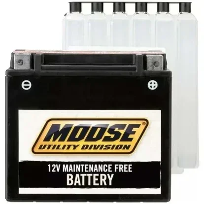 Batterie Yamaha YFM 300 Grizzly
