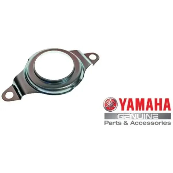 Abdeckplatte Yamaha YFM 700 Raptor
