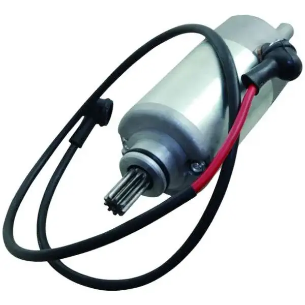 Anlasser Yamaha YFM 250 Bruin
