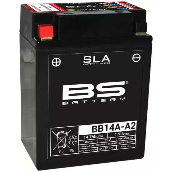 Batterie Yamaha YFM 250 Bear Tracker