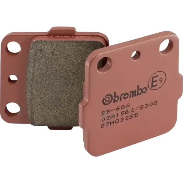 Bremsbelag Satz Yamaha YFM 660 Raptor
