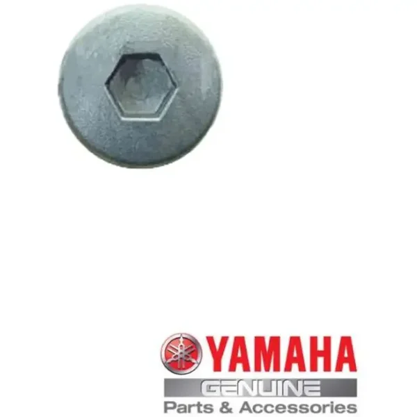 Carter plug Yamaha YFM 700 Raptor