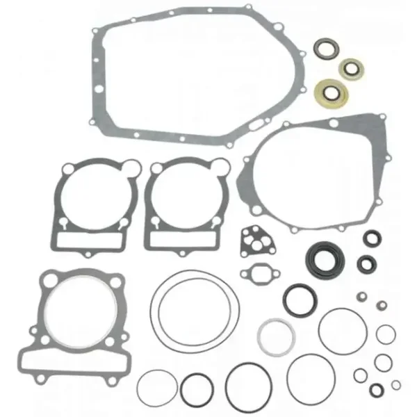 Kompletter Dichtungs und Wellendichtring Satz Yamaha YFM 350 Raptor