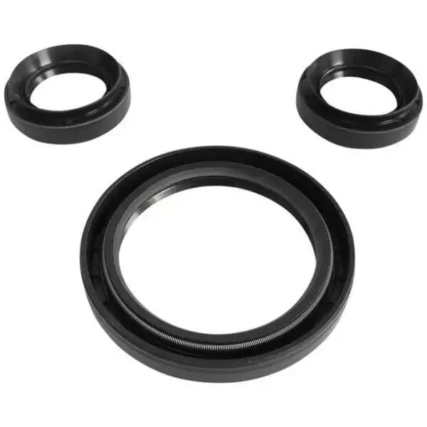 Differentialdichtungssatz Yamaha YFM 660 Grizzly