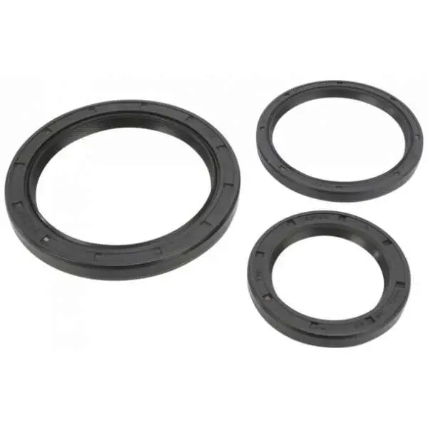 Differential Dichtungssatz Yamaha YFM 250 Big Bear