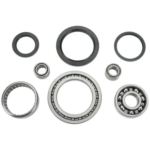 Differential Lager und Dichtungssatz hinten Yamaha YFM 350 Big Bear