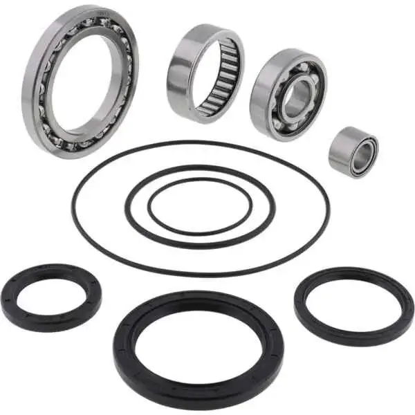 Differential Lager & Wellendichtringsatz Yamaha YFM 250 Bruin