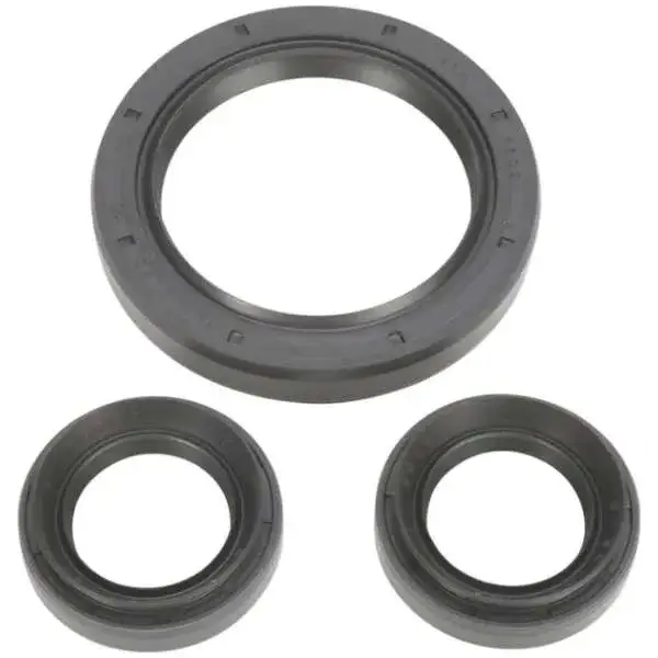 Differential Wellendichtringsatz Yamaha YFM 350 Grizzly