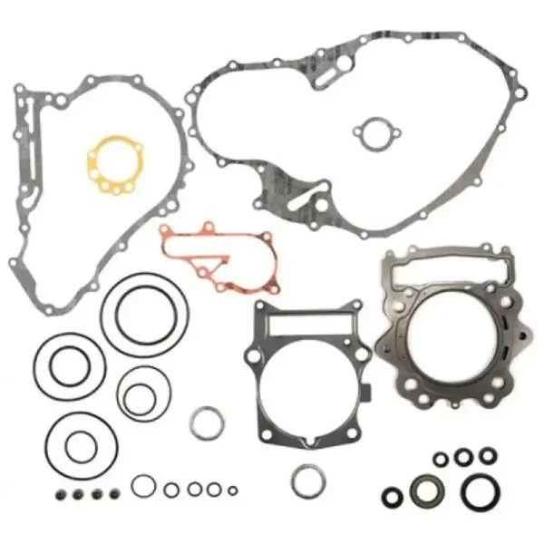Kompletter Dichtungssatz Yamaha YFM 700 Raptor