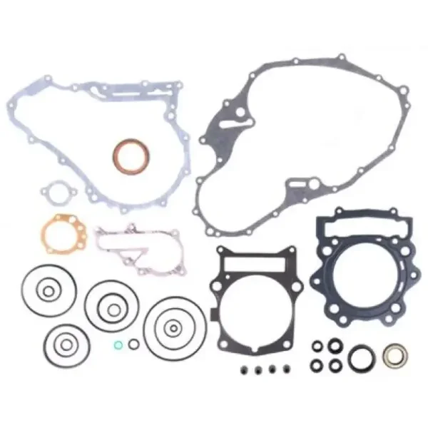 Kompletter Dichtungssatz Yamaha YFM 700 Raptor