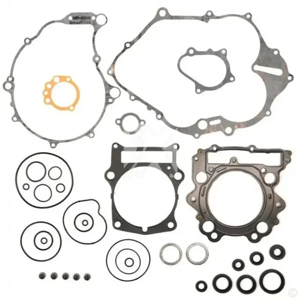 Komplettes Dichtungssatz Yamaha YFM 660 Raptor