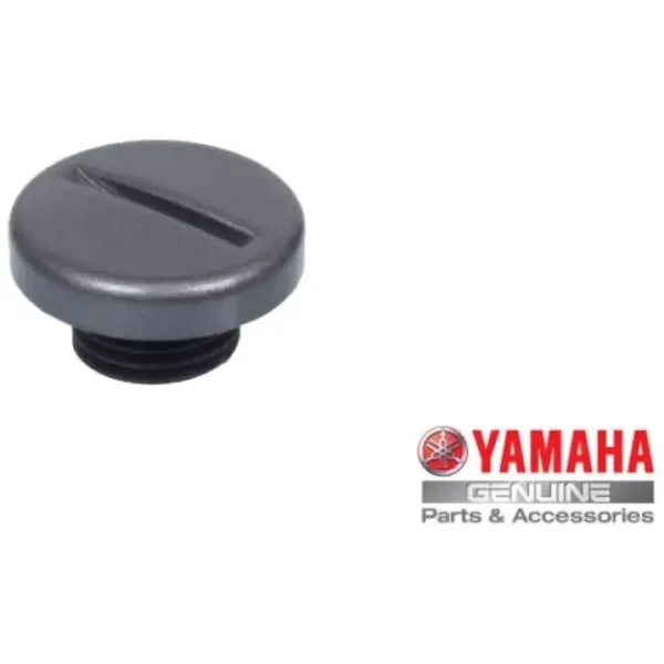 Carter plug Yamaha YFM 660 Raptor