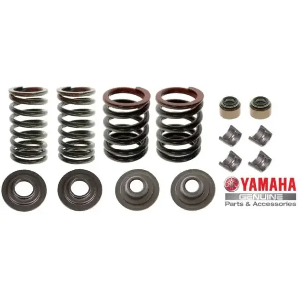 Original (OEM) Ventilfedern Satz Yamaha YFM 350 Raptor