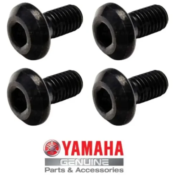 Bremsscheiben Schraubensatz hinten Yamaha YFM 350 Raptor