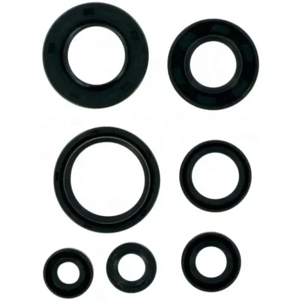 Wellendichtringe Satz Yamaha YFS 200 Blaster