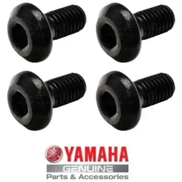 Schraubensatz hintere Bremsscheibe Yamaha YFM 350 Wolverine