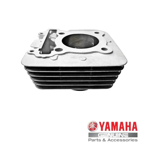 Original (OEM) Zylinder Yamaha YFM 250 Raptor