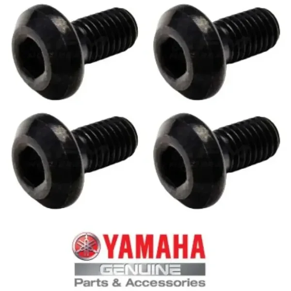 Schraubensatz für hintere Bremsscheibe Yamaha YFM 250 Raptor