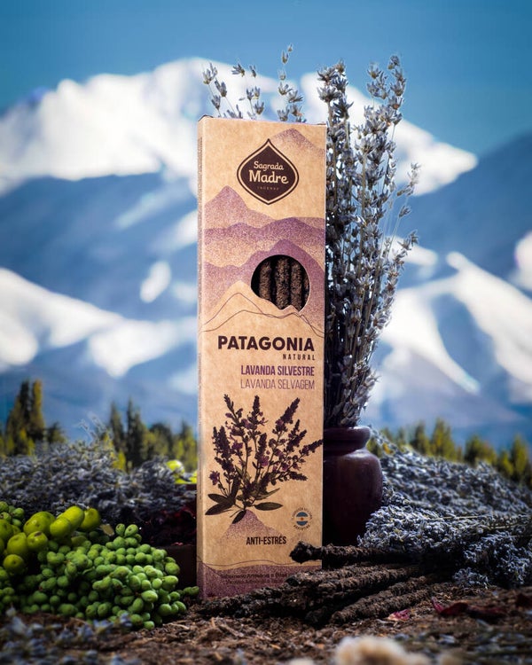 Patagonia met Zilverlavendel