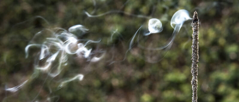 Sagrada Madre Wierook Palo Santo Hars Roos Champa Mirre Rozemarijn Jasmijn Sandelhout Sandalwood Copal  Kruiden 