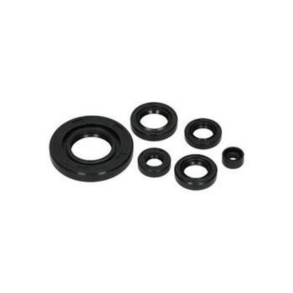 Honda Oil Seal kit - Oliering set MB50/MT50/MTX50