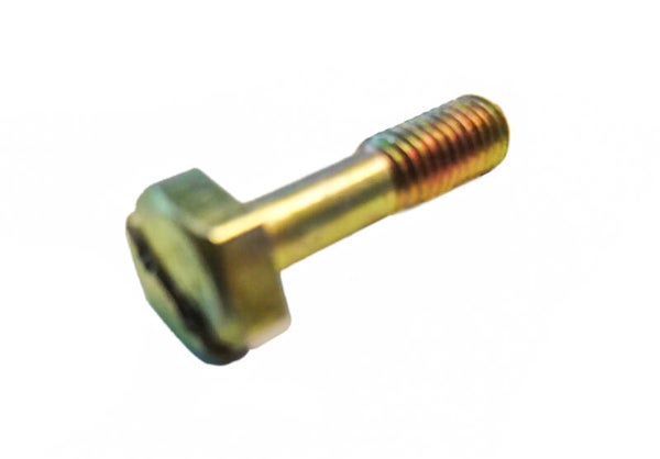 BING SLH / SRE / SRF 10/12/15 Manifold Bolt - Spruitstuk Montage Bout