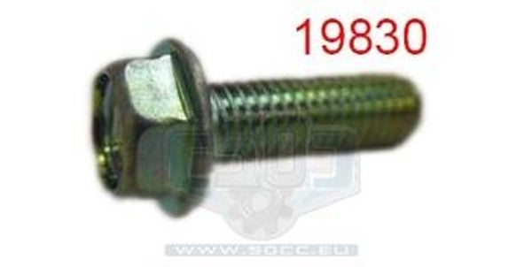 Flens Bout - Honda Frame Bolt - Motor Bout - M8X25mm - 95701-08025-00