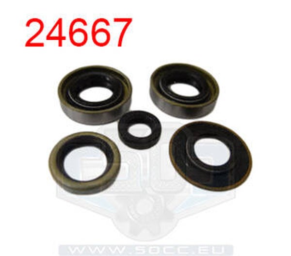 Oil Seal Set - Engine Set Complete Sachs - 3G/3V - Kick Start
