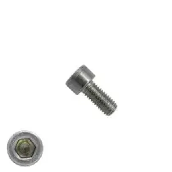 M5 inbusbout - Allen Screw - M5x10 - RVS