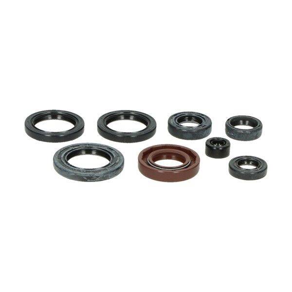 Oil Seal Set - Engine Set Complete Yamaha - FS1/DT50M - Reed Valve Engines - A-Quality - BAC
