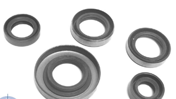 Zundapp Engine Seal Kit KS80 - 100-05.103