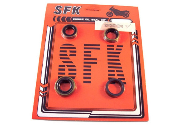 Zundapp Engine Seal Kit 3G-3V Hand/Foot Shift Engine