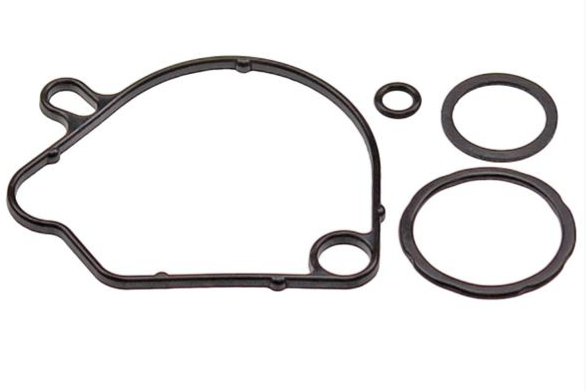 Honda Gasket Set Carburateur - Pakking Set - Wallaroo - 16010-GT8-600