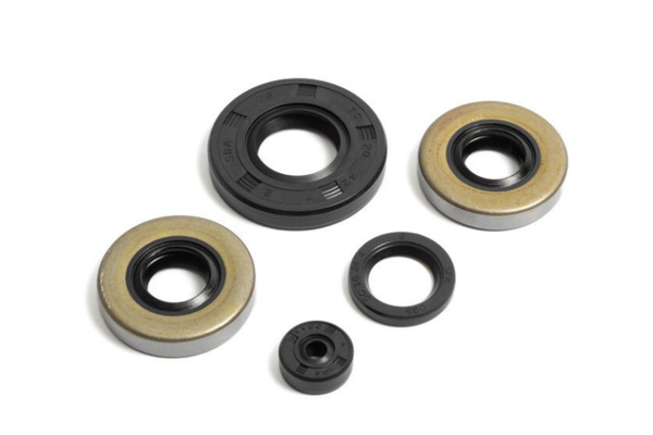 Oil Seal Set - Engine Set Complete Victoria EM50