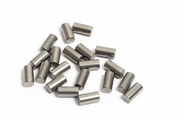 Barrel Bearing Sachs - 20 Pcs - 4x8mm - 0232 014 000