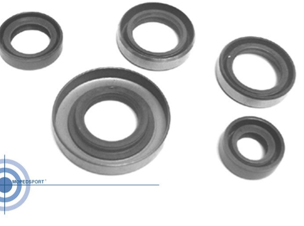 Zundapp Engine Seal Kit KS80 - 100-05.103