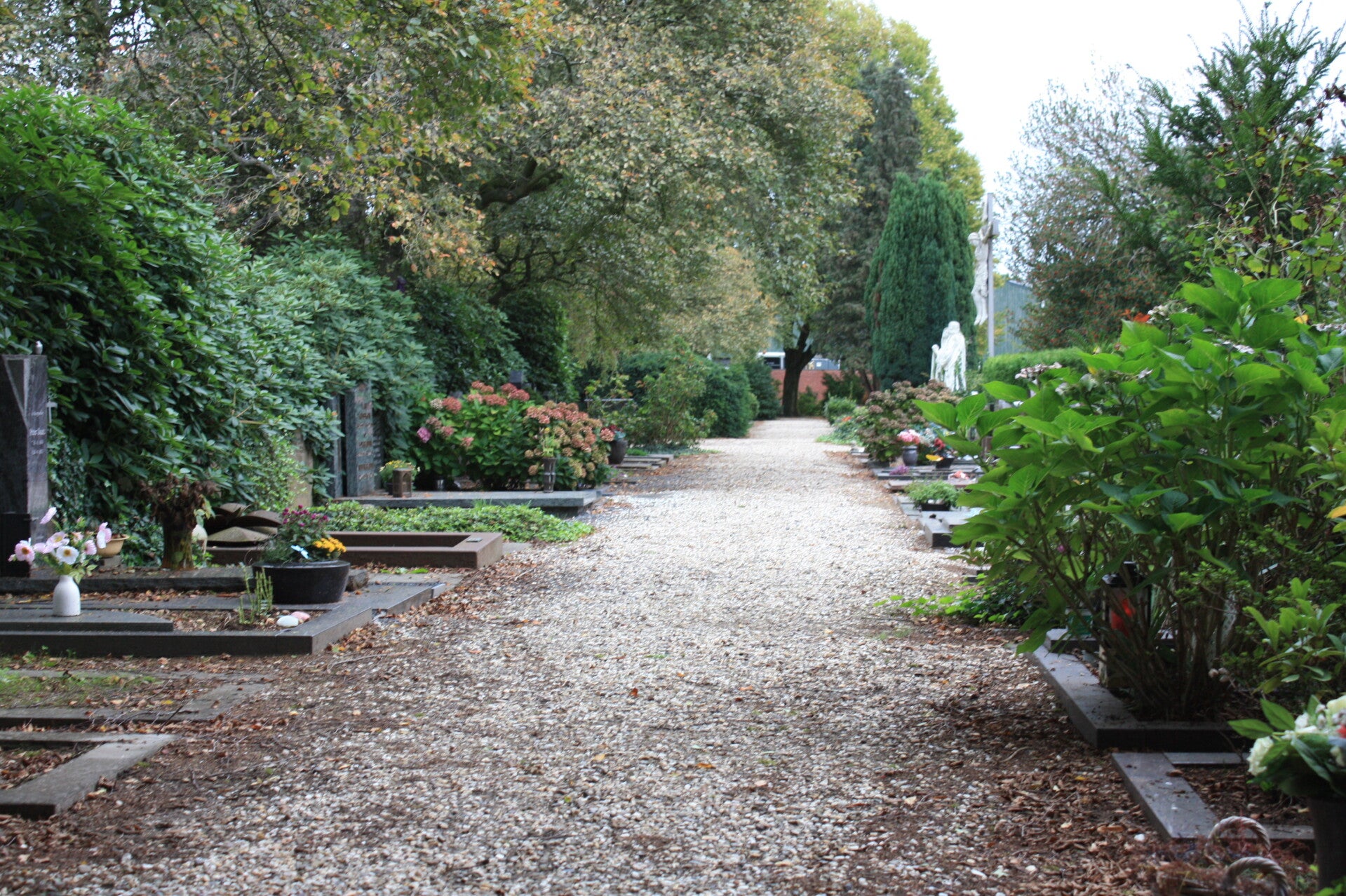 Brede goed begaanbare paden tussen de graven op Jonkerbos