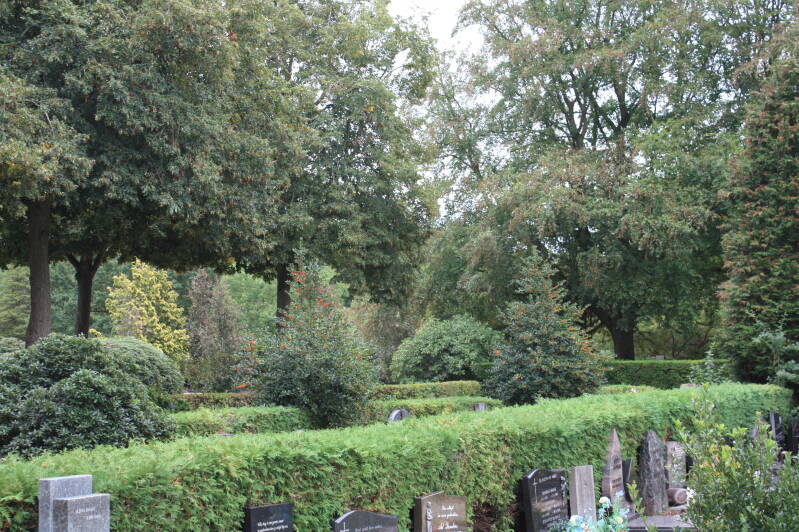 Groene karakter van begraafplaats Jonkerbos