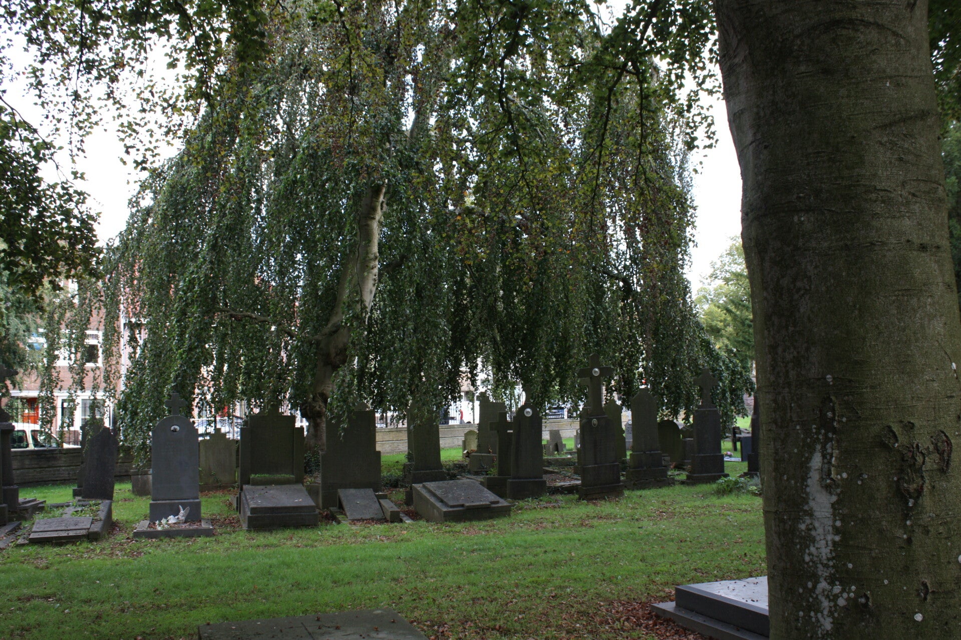 Oude graven op een begraafplaats in Nijmegen