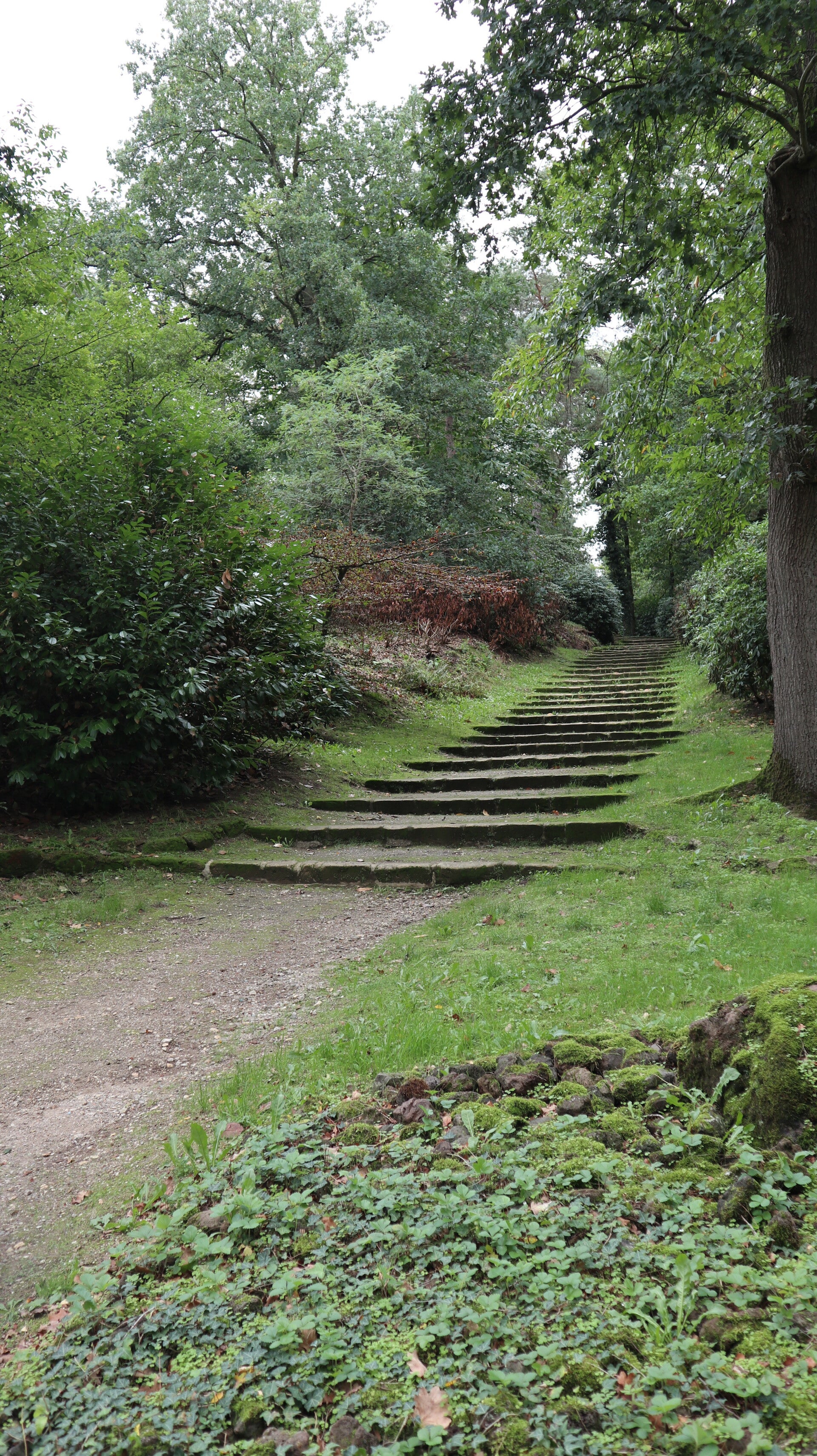 Natuurlijke trap op begraafplaats