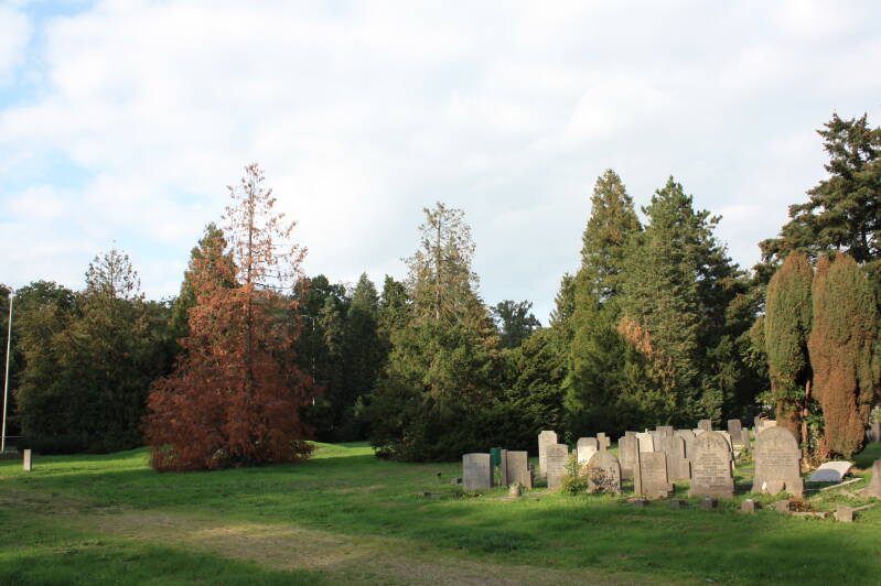 Grafveld met herfstkleurige bomen