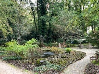 Sfeerbeeld van begraafplaats in bosrijke omgeving.