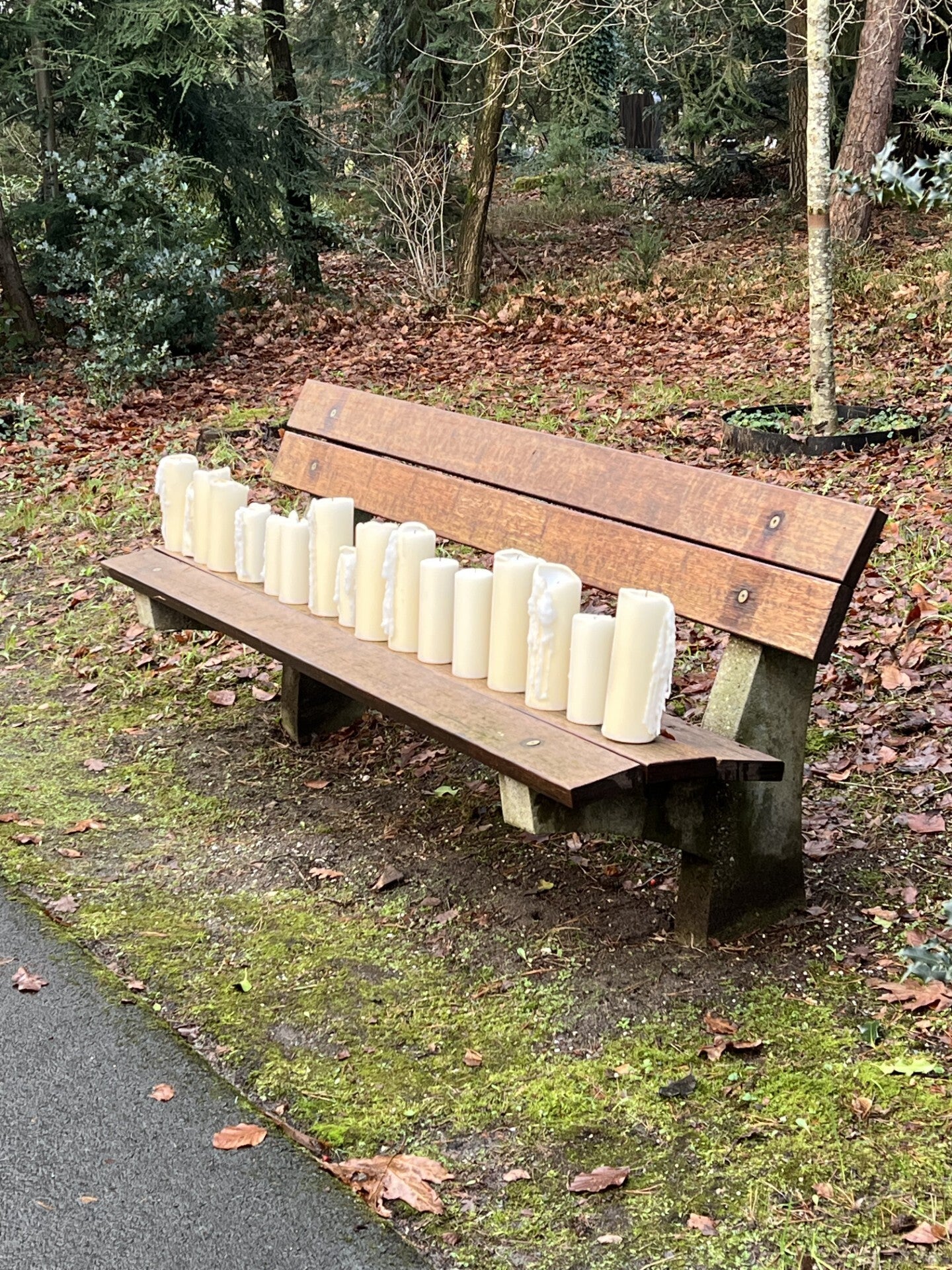 Kaarsen op bankje in bosrijke omgeving