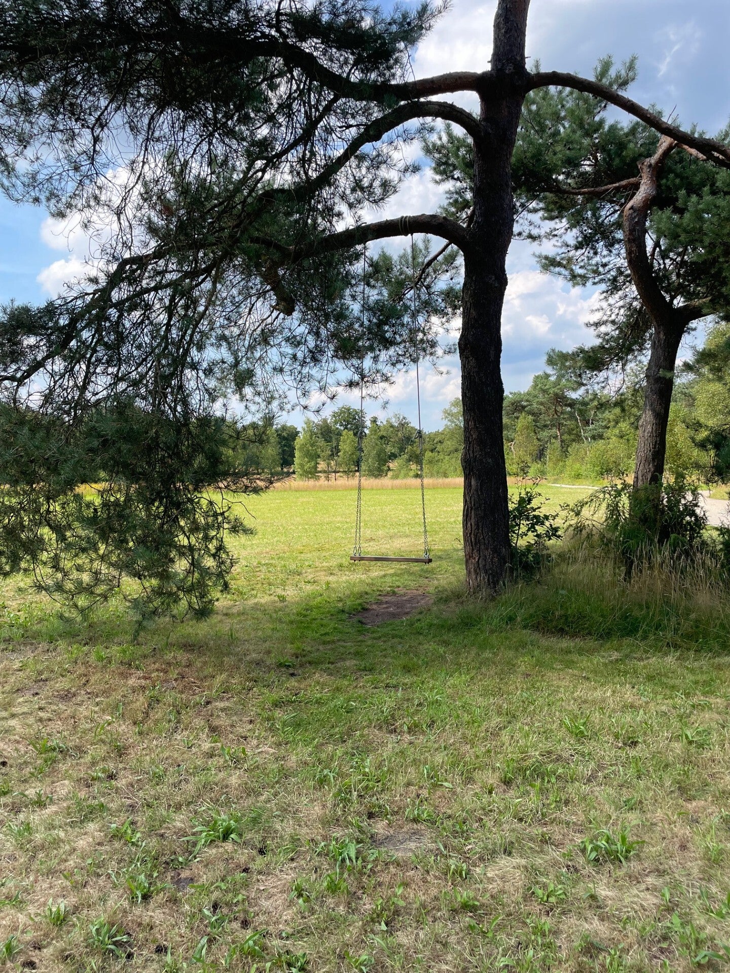 Natuurbegraafplaats boomschommel