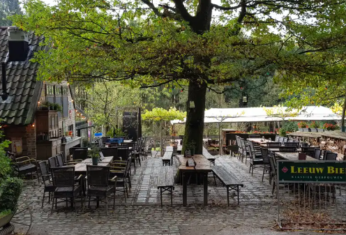Buiten terras met tafels en stoelen onder een grote boom, bij een restaurant, omringd door groen.