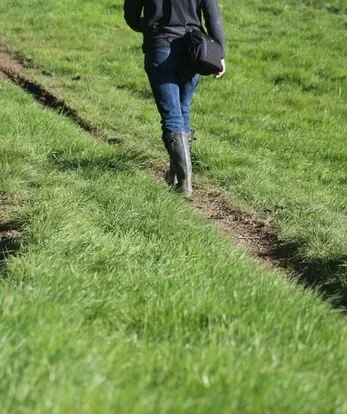 Persoon wandelend in een wiland met groene laarzen aan.